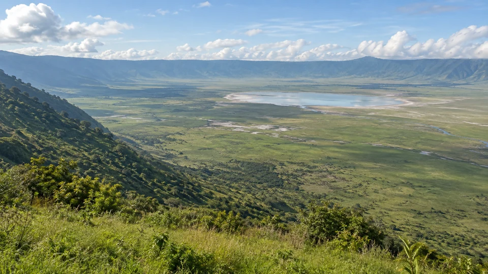 Панорама кальдеры Нгоронгоро с зелёного края