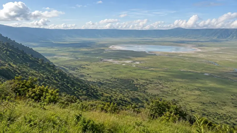 Панорама кальдеры Нгоронгоро с зелёного края