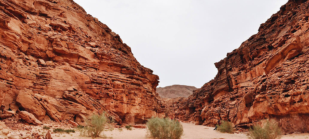 туры в египет из москвы - Цветной каньон