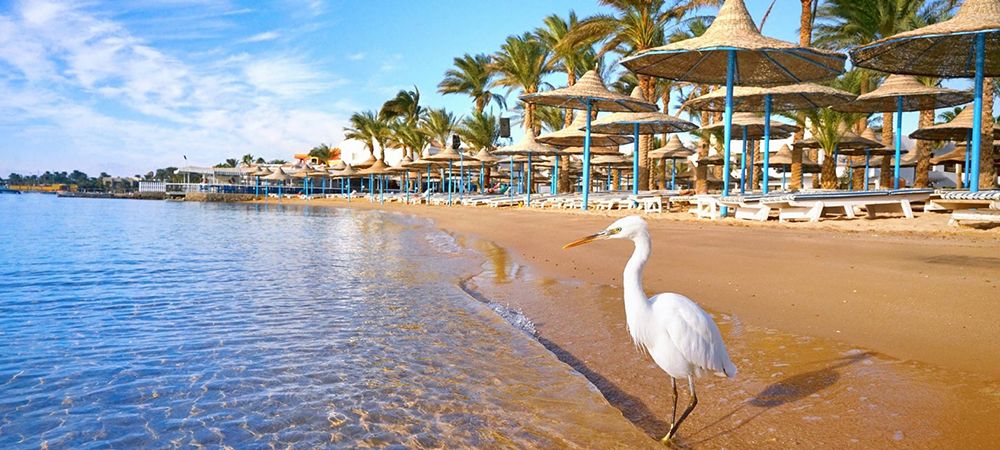 Туры в Шарм-эль-Шейх2.jpg